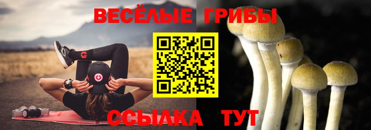 Галлюциногенные грибы MAGIC MUSHROOMS Серов